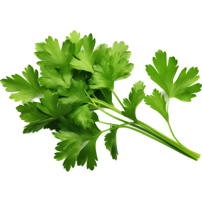 Parsley