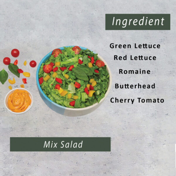 Second image of Mix Salad