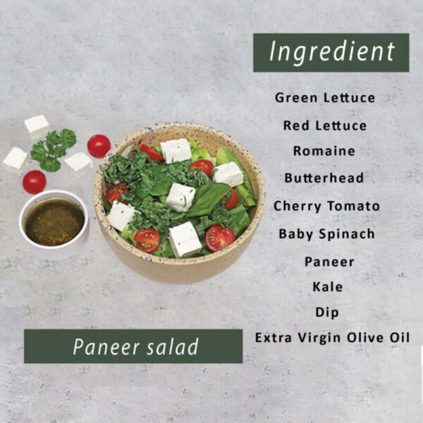 Second image of Paneer Salad