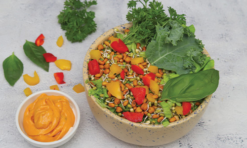 Sprout Salad
