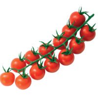 cherry-tomato